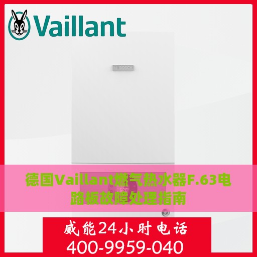 德国Vaillant燃气热水器F.63电路板故障处理指南