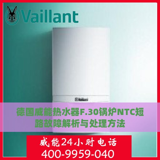 德国威能热水器F.30锅炉NTC短路故障解析与处理方法