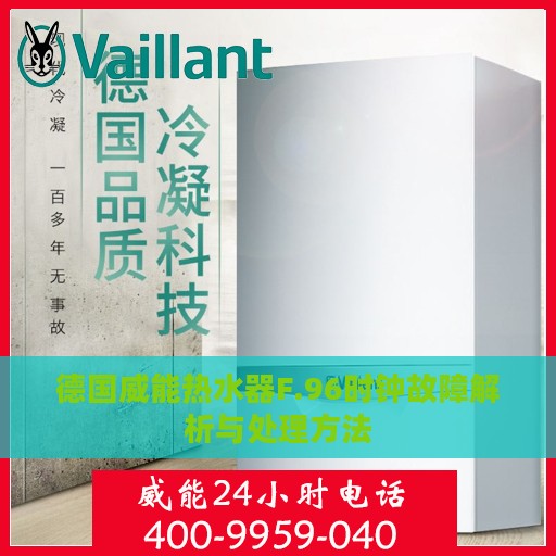 德国威能热水器F.96时钟故障解析与处理方法