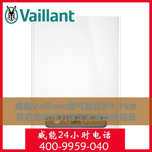 威能Vaillant燃气壁挂炉F.75水泵启动后压力稳定无波动问题及处理方式详解