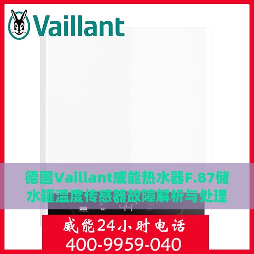 德国Vaillant威能热水器F.87储水罐温度传感器故障解析与处理方法