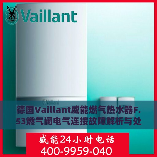 德国Vaillant威能燃气热水器F.53燃气阀电气连接故障解析与处理方法