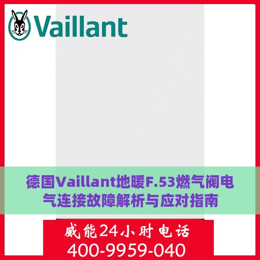 德国Vaillant地暖F.53燃气阀电气连接故障解析与应对指南