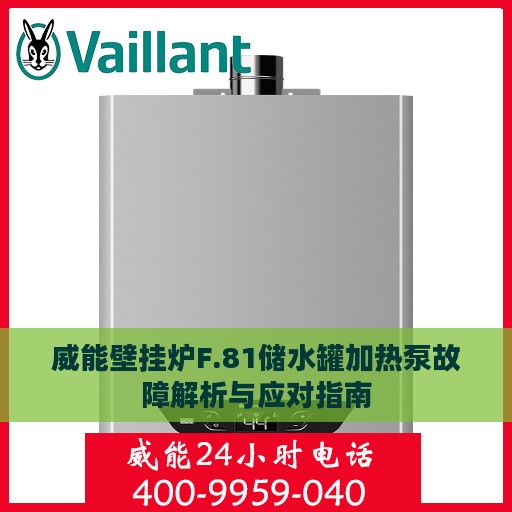 威能壁挂炉F.81储水罐加热泵故障解析与应对指南