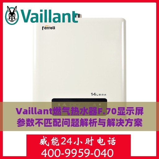 Vaillant燃气热水器F.70显示屏参数不匹配问题解析与解决方案