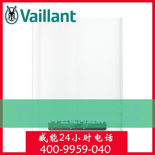 威能Vaillant热水器F.70显示屏与电路板不匹配问题解析与解决方案