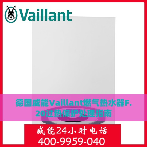 德国威能Vaillant燃气热水器F.20过热保护处理指南