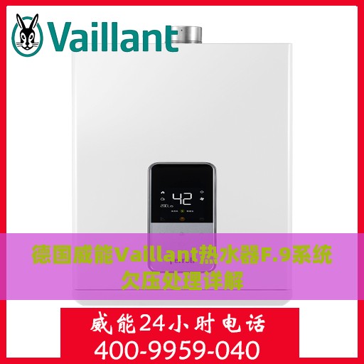 德国威能Vaillant热水器F.9系统欠压处理详解