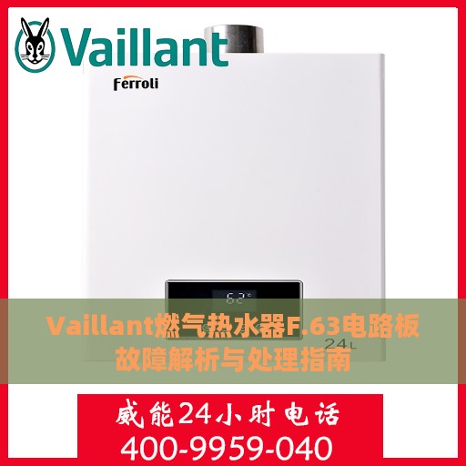 Vaillant燃气热水器F.63电路板故障解析与处理指南