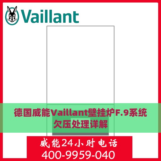 德国威能Vaillant壁挂炉F.9系统欠压处理详解