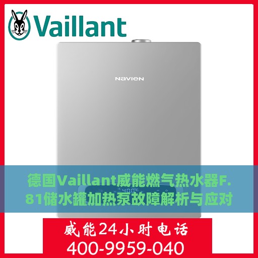 德国Vaillant威能燃气热水器F.81储水罐加热泵故障解析与应对方案