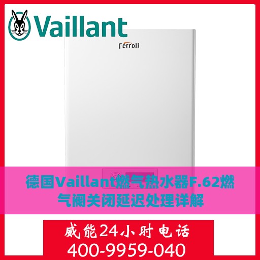 德国Vaillant燃气热水器F.62燃气阀关闭延迟处理详解