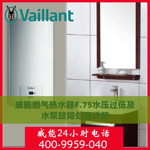 威能燃气热水器F.75水压过低及水泵故障处理详解