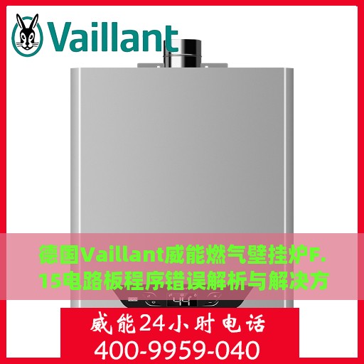 德国Vaillant威能燃气壁挂炉F.15电路板程序错误解析与解决方案