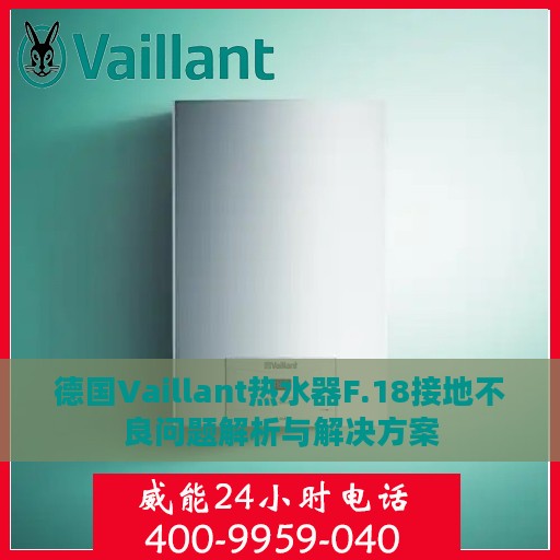 德国Vaillant热水器F.18接地不良问题解析与解决方案