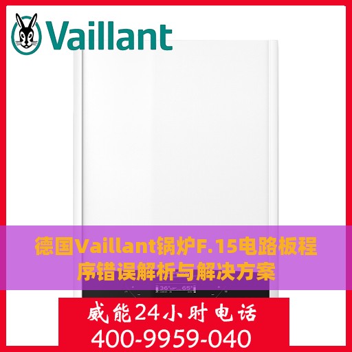 德国Vaillant锅炉F.15电路板程序错误解析与解决方案
