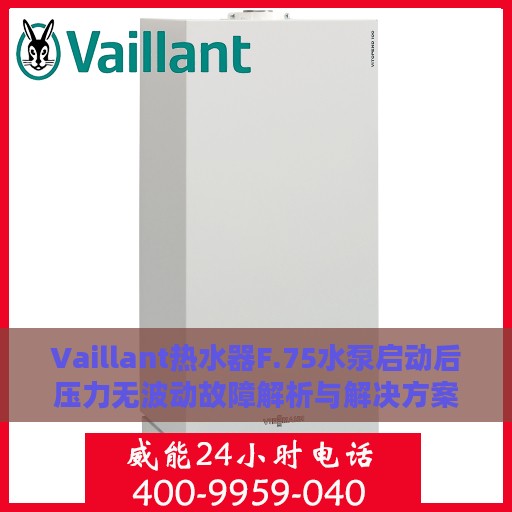 Vaillant热水器F.75水泵启动后压力无波动故障解析与解决方案