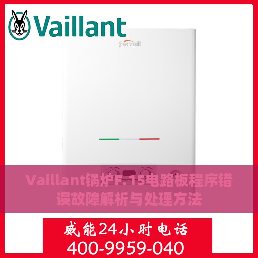 Vaillant锅炉F.15电路板程序错误故障解析与处理方法