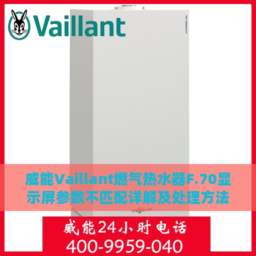 威能Vaillant燃气热水器F.70显示屏参数不匹配详解及处理方法