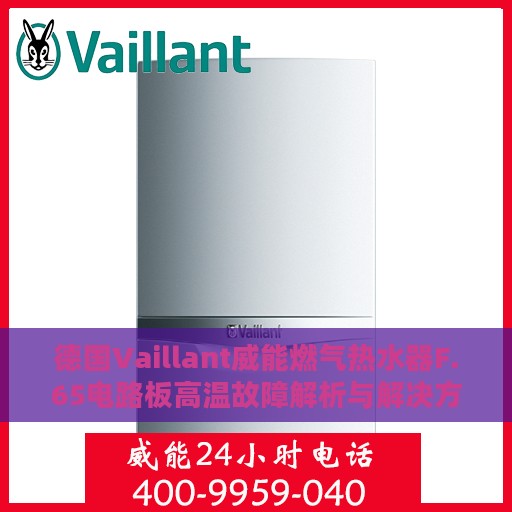 德国Vaillant威能燃气热水器F.65电路板高温故障解析与解决方案
