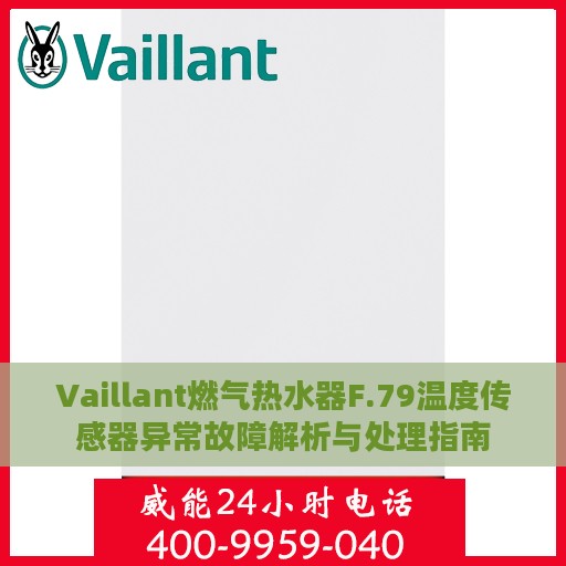 Vaillant燃气热水器F.79温度传感器异常故障解析与处理指南