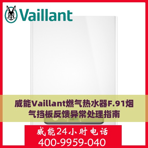威能Vaillant燃气热水器F.91烟气挡板反馈异常处理指南