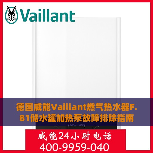 德国威能Vaillant燃气热水器F.81储水罐加热泵故障排除指南