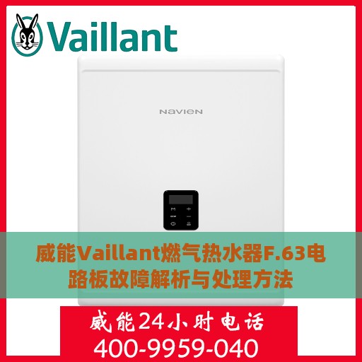 威能Vaillant燃气热水器F.63电路板故障解析与处理方法