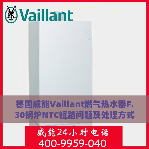 德国威能Vaillant燃气热水器F.30锅炉NTC短路问题及处理方式详解