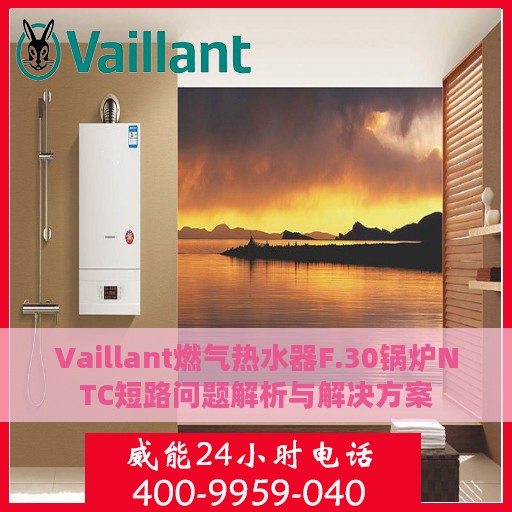 Vaillant燃气热水器F.30锅炉NTC短路问题解析与解决方案