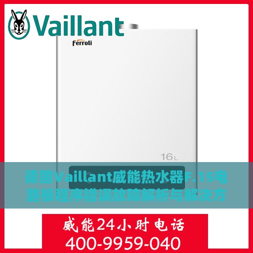 德国Vaillant威能热水器F.15电路板程序错误故障解析与解决方案