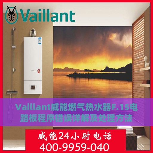 Vaillant威能燃气热水器F.15电路板程序错误详解及处理方法