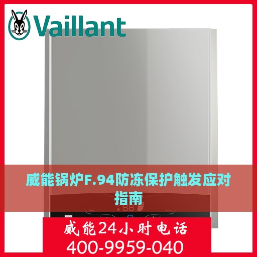 威能锅炉F.94防冻保护触发应对指南