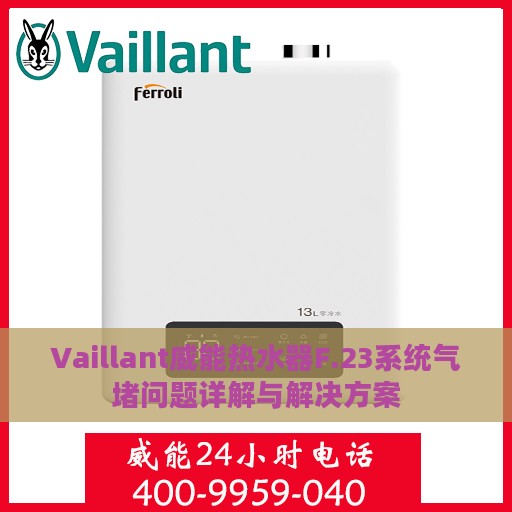 Vaillant威能热水器F.23系统气堵问题详解与解决方案