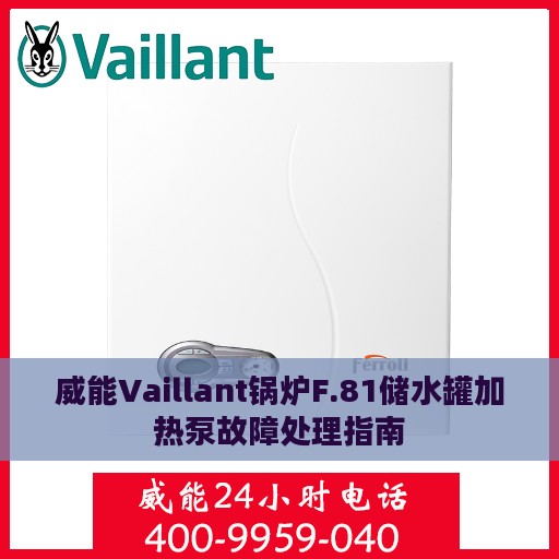 威能Vaillant锅炉F.81储水罐加热泵故障处理指南