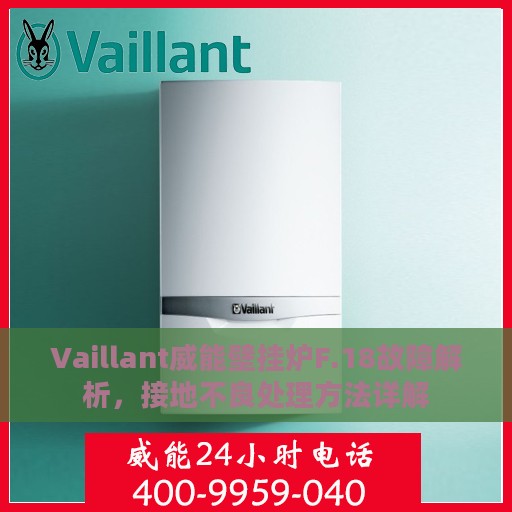 Vaillant威能壁挂炉F.18故障解析，接地不良处理方法详解