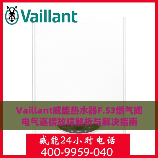 Vaillant威能热水器F.53燃气阀电气连接故障解析与解决指南