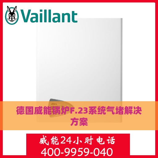 德国威能锅炉F.23系统气堵解决方案