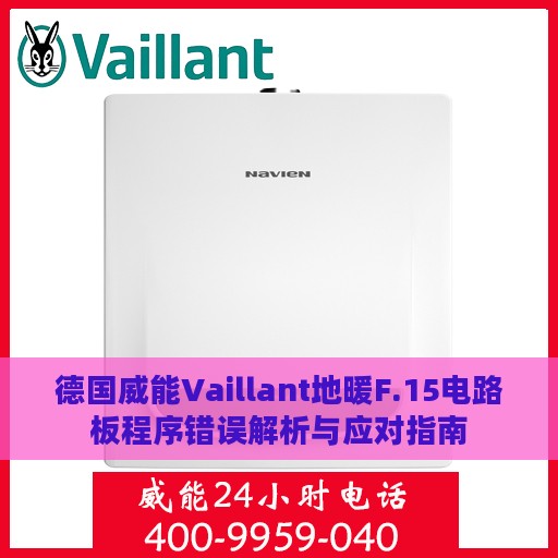 德国威能Vaillant地暖F.15电路板程序错误解析与应对指南