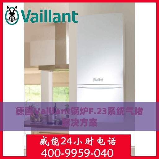 德国Vaillant锅炉F.23系统气堵解决方案