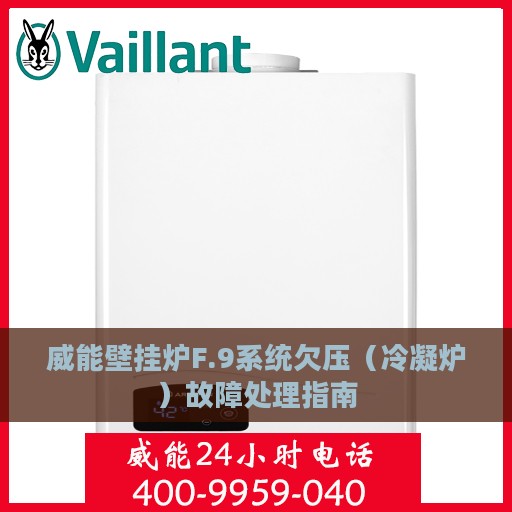 威能壁挂炉F.9系统欠压（冷凝炉）故障处理指南