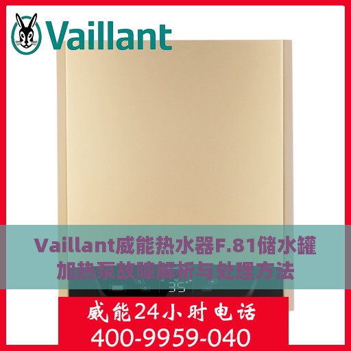 Vaillant威能热水器F.81储水罐加热泵故障解析与处理方法