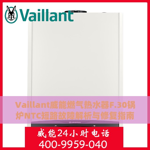 Vaillant威能燃气热水器F.30锅炉NTC短路故障解析与修复指南