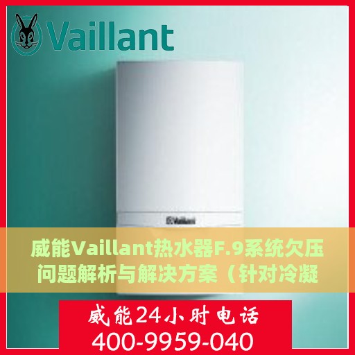 威能Vaillant热水器F.9系统欠压问题解析与解决方案（针对冷凝炉）