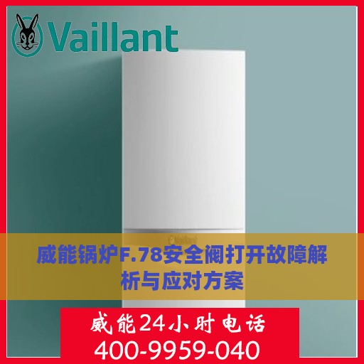 威能锅炉F.78安全阀打开故障解析与应对方案