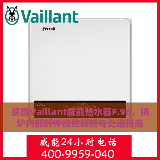 德国Vaillant威能热水器F.96，锅炉内部时钟故障解析与处理指南