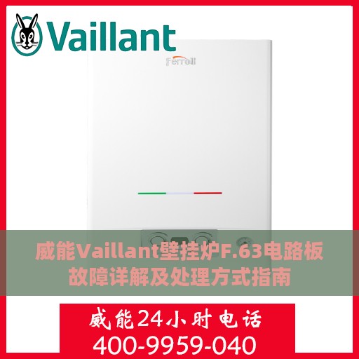 威能Vaillant壁挂炉F.63电路板故障详解及处理方式指南