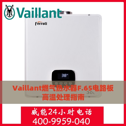Vaillant燃气热水器F.65电路板高温处理指南