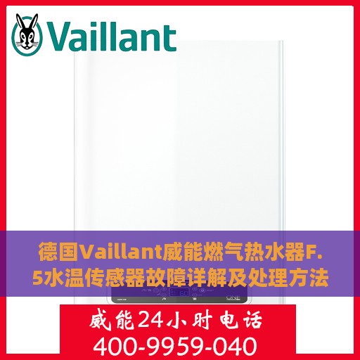 德国Vaillant威能燃气热水器F.5水温传感器故障详解及处理方法（冷凝炉篇）