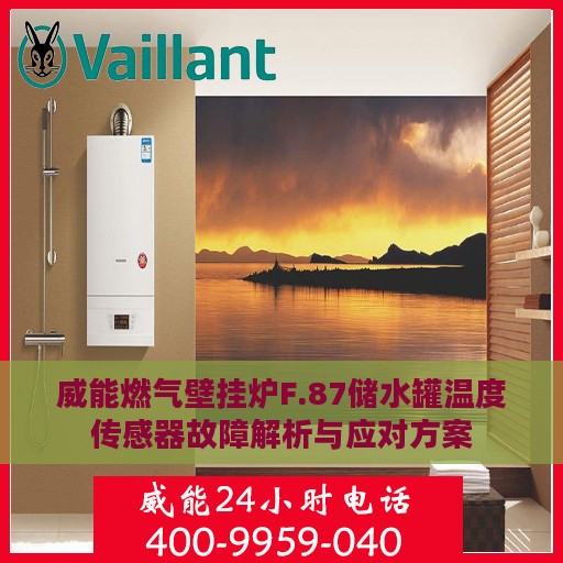 威能燃气壁挂炉F.87储水罐温度传感器故障解析与应对方案